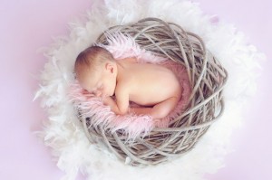 A baby sleeping in a bird nest on a pink background.